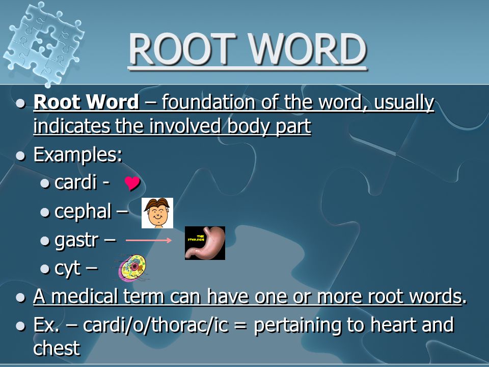 english root words list download root word definition