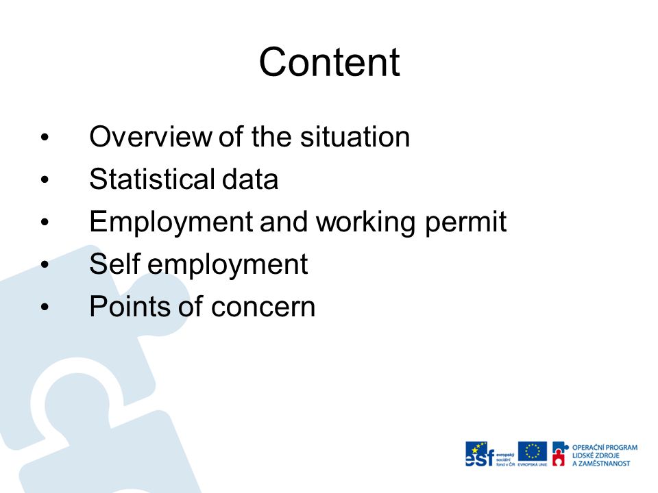 Content Overview of the situation Statistical data Employment and working permit Self employment Points of concern