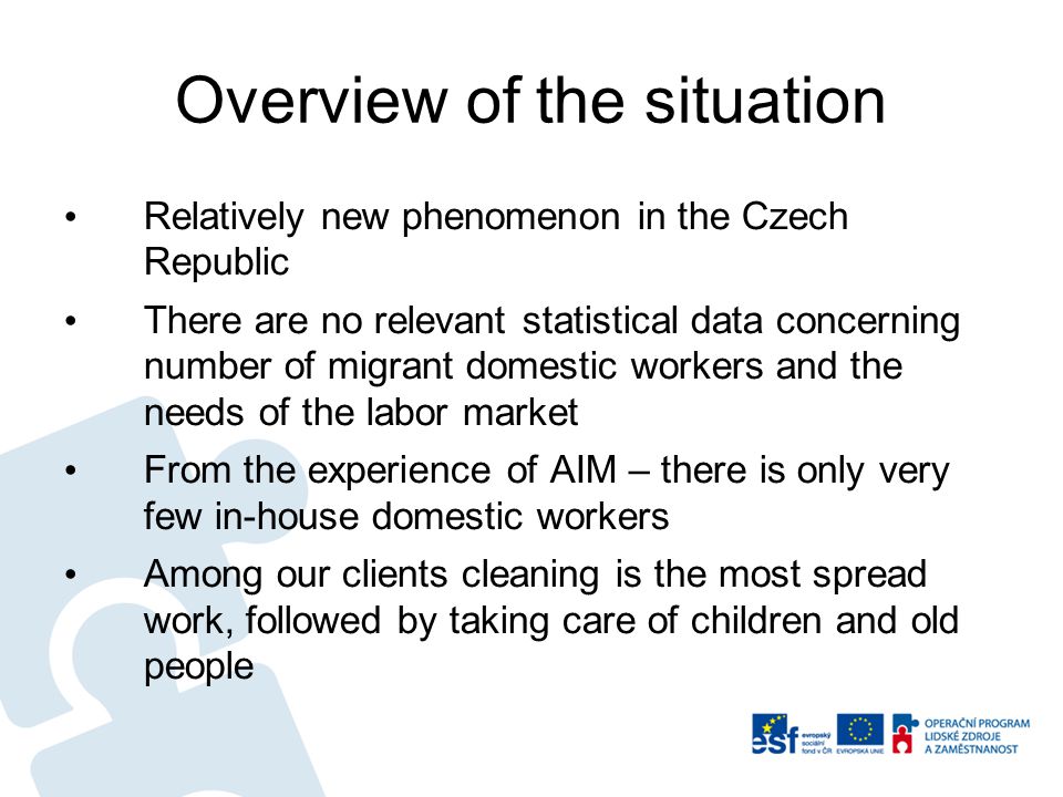 Overview of the situation Relatively new phenomenon in the Czech Republic There are no relevant statistical data concerning number of migrant domestic workers and the needs of the labor market From the experience of AIM – there is only very few in-house domestic workers Among our clients cleaning is the most spread work, followed by taking care of children and old people