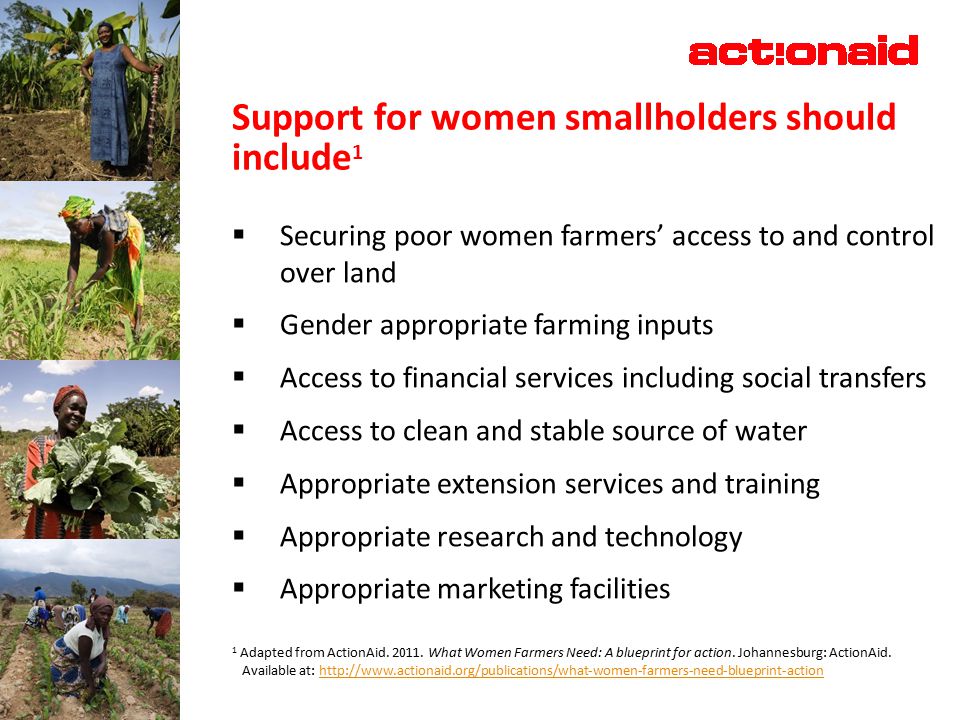Support for women smallholders should include 1  Securing poor women farmers’ access to and control over land  Gender appropriate farming inputs  Access to financial services including social transfers  Access to clean and stable source of water  Appropriate extension services and training  Appropriate research and technology  Appropriate marketing facilities 1 Adapted from ActionAid.