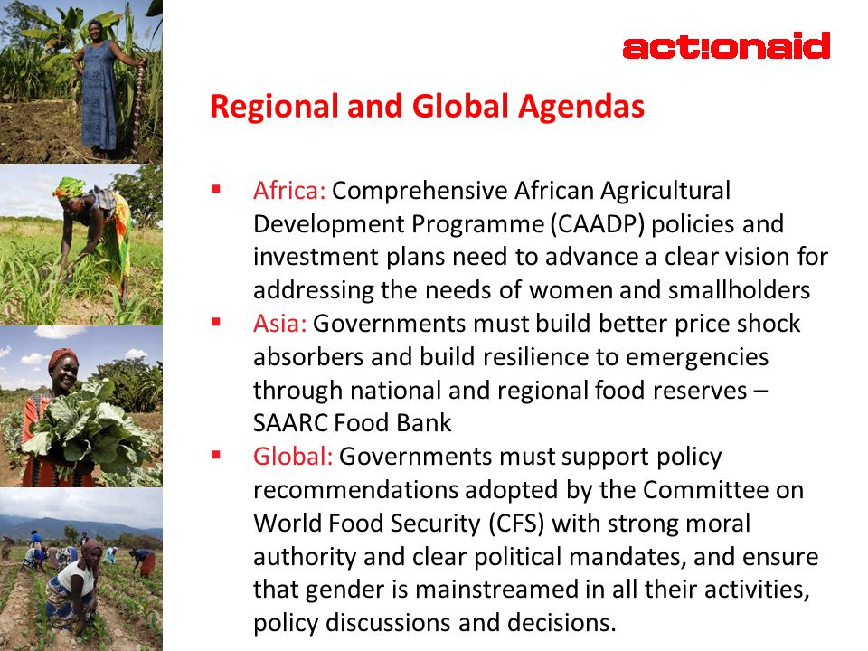 Regional and Global Agendas  Africa: Comprehensive African Agricultural Development Programme (CAADP) policies and investment plans need to advance a clear vision for addressing the needs of women and smallholders  Asia: Governments must build better price shock absorbers and build resilience to emergencies through national and regional food reserves – SAARC Food Bank  Global: Governments must support policy recommendations adopted by the Committee on World Food Security (CFS) with strong moral authority and clear political mandates, and ensure that gender is mainstreamed in all their activities, policy discussions and decisions.