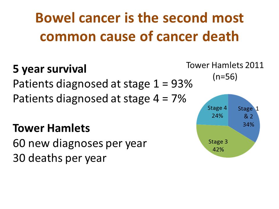 Bowel cancer is the second most common cause of cancer death 5 year survival Patients diagnosed at stage 1 = 93% Patients diagnosed at stage 4 = 7% Tower Hamlets 60 new diagnoses per year 30 deaths per year