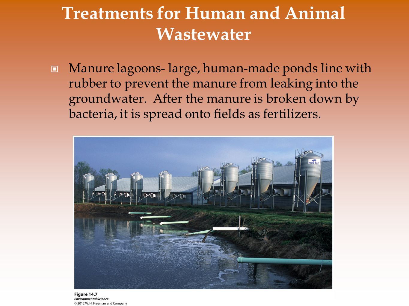 Treatments for Human and Animal Wastewater Manure lagoons- large, human-made ponds line with rubber to prevent the manure from leaking into the groundwater.