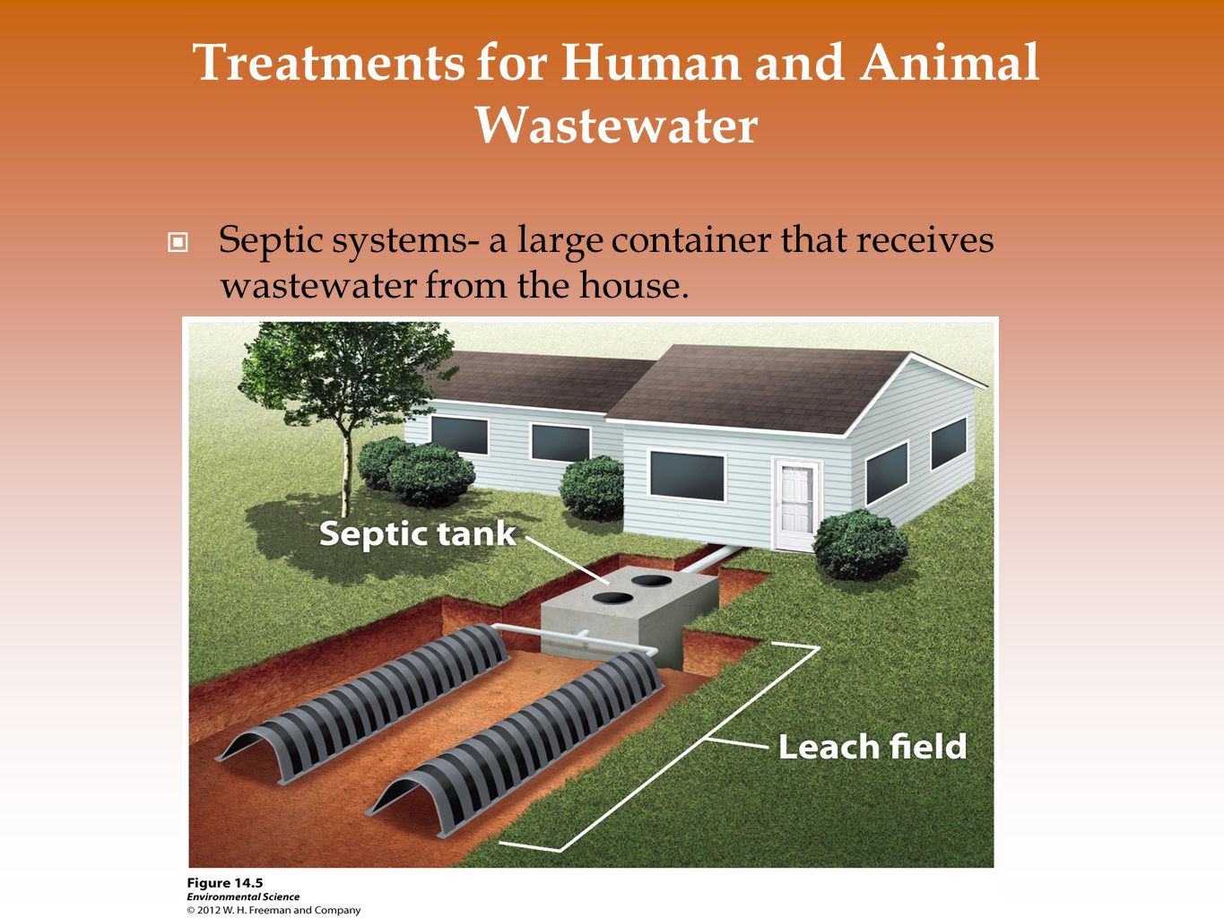 Treatments for Human and Animal Wastewater Septic systems- a large container that receives wastewater from the house.