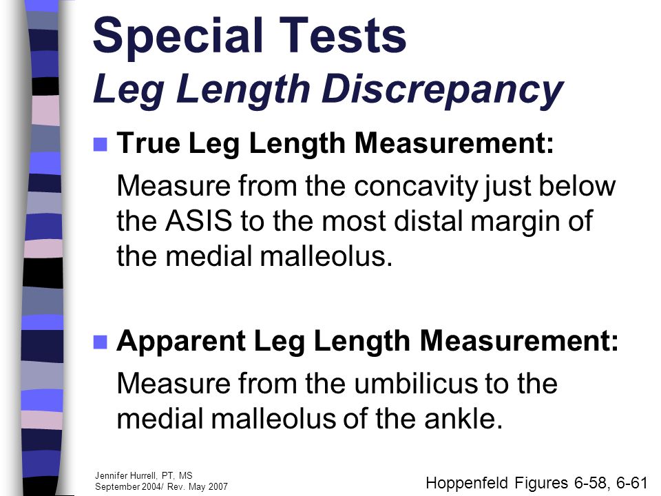 Pelvic Girdle Lab Exercise Presentation based on the textbook by Stanley  Hoppenfeld: Physical Examination of the Spine & Extremities Presentation  Created. - ppt download