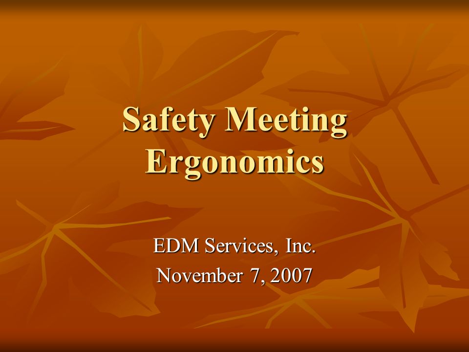 Safety Meeting Ergonomics EDM Services, Inc. November 7, 2007