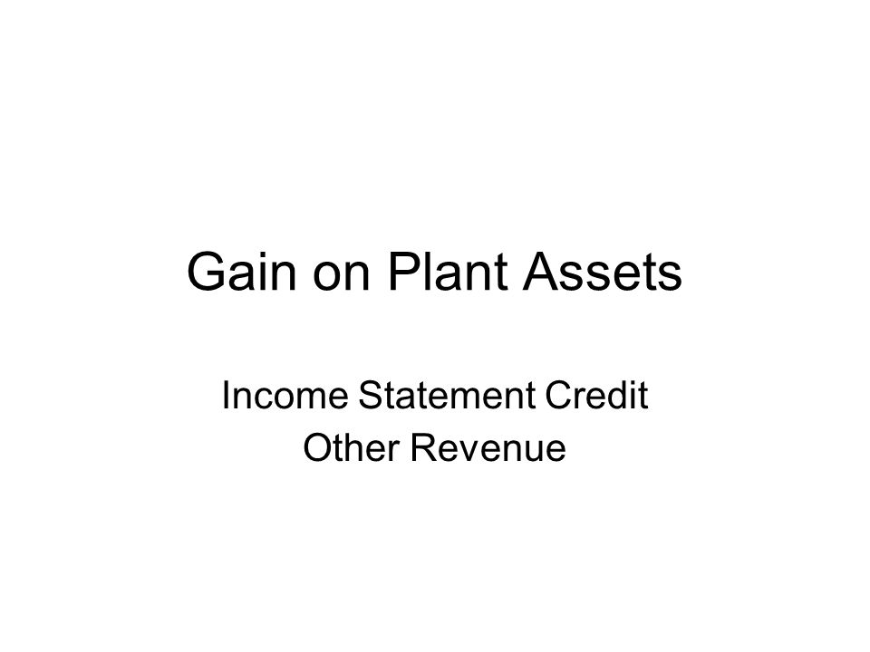 Gain on Plant Assets Income Statement Credit Other Revenue