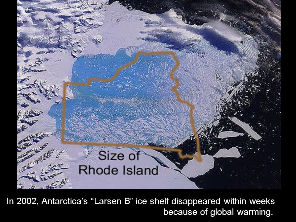 In 2002, Antarctica’s Larsen B ice shelf disappeared within weeks because of global warming.