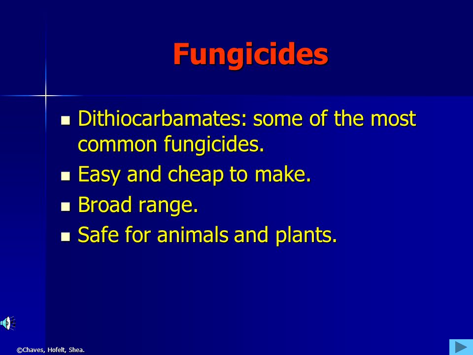 ©Chaves, Hofelt, Shea. Fungicides Dithiocarbamates: some of the most common fungicides.