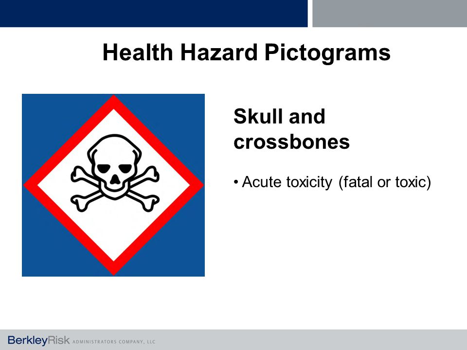 Skull and crossbones Acute toxicity (fatal or toxic) Health Hazard Pictograms