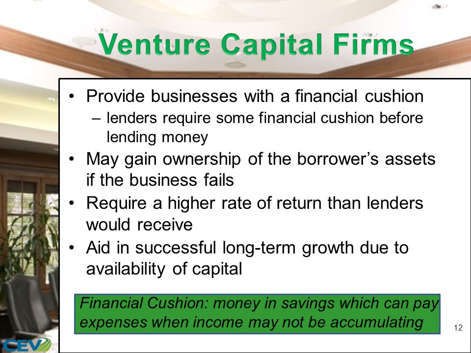Provide businesses with a financial cushion –lenders require some financial cushion before lending money May gain ownership of the borrower’s assets if the business fails Require a higher rate of return than lenders would receive Aid in successful long-term growth due to availability of capital 12 Financial Cushion: money in savings which can pay expenses when income may not be accumulating