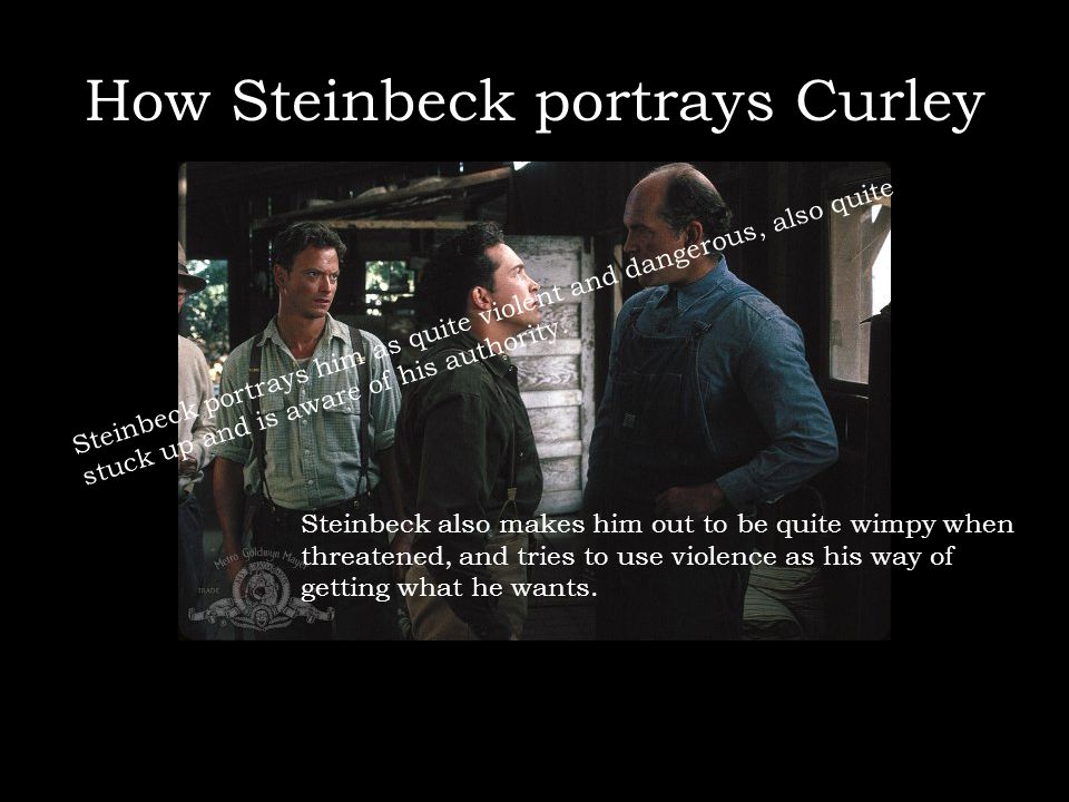 How Steinbeck portrays Curley Steinbeck portrays him as quite violent and dangerous, also quite stuck up and is aware of his authority.