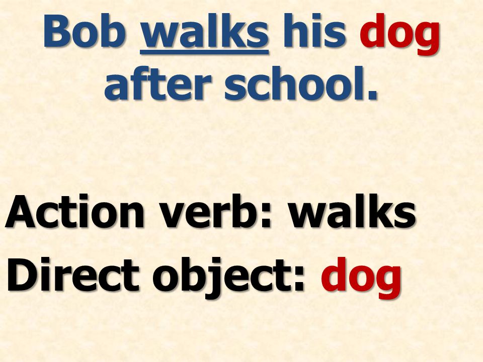 Bob walks his dog after school. Action verb: walks Direct object: dog