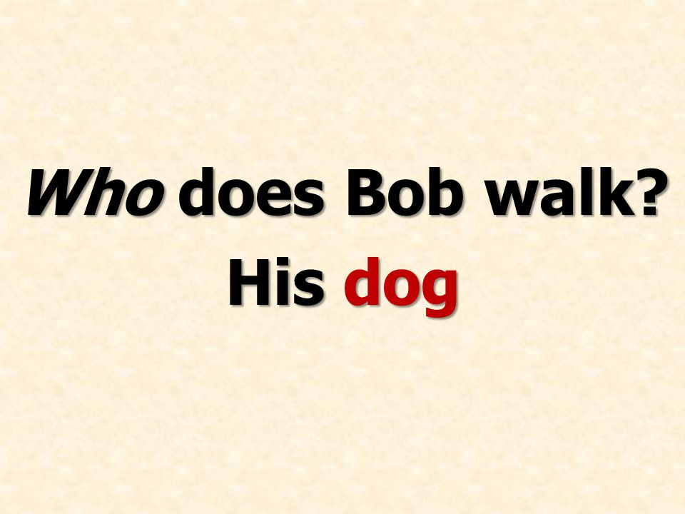 Who does Bob walk His dog