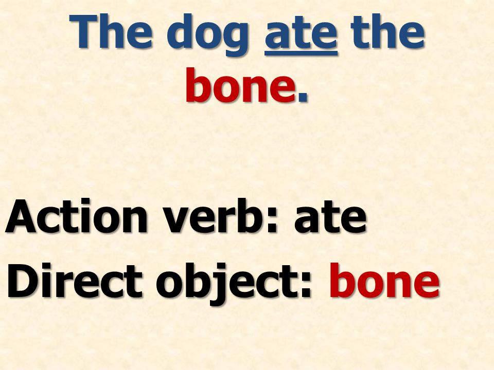 The dog ate the bone. Action verb: ate Direct object: bone