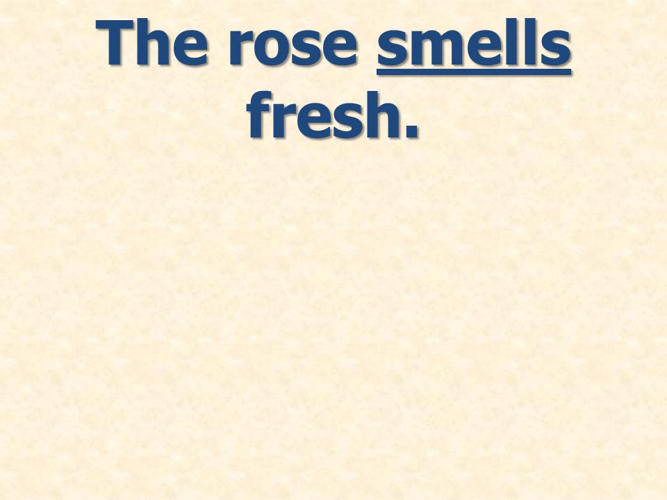 The rose smells fresh.