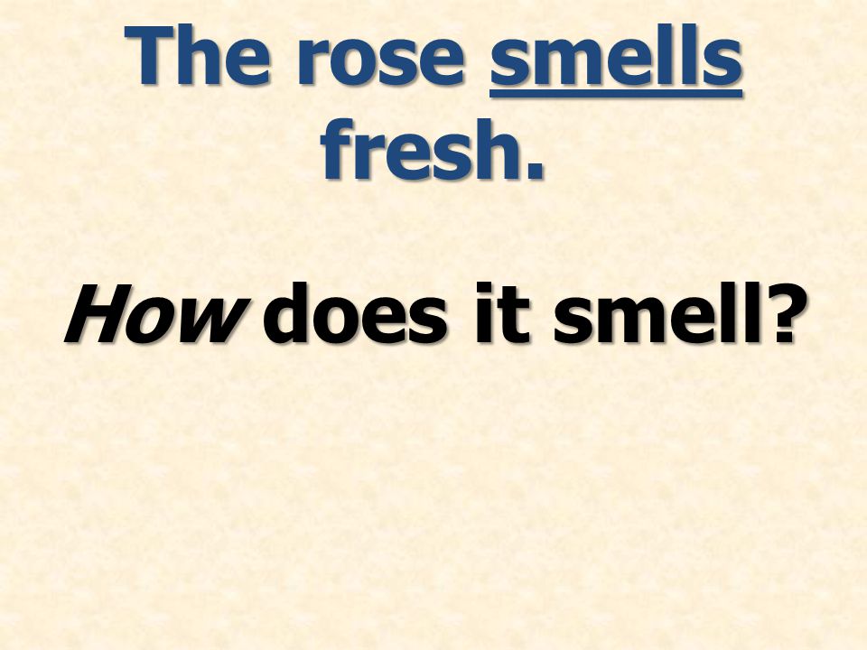How does it smell