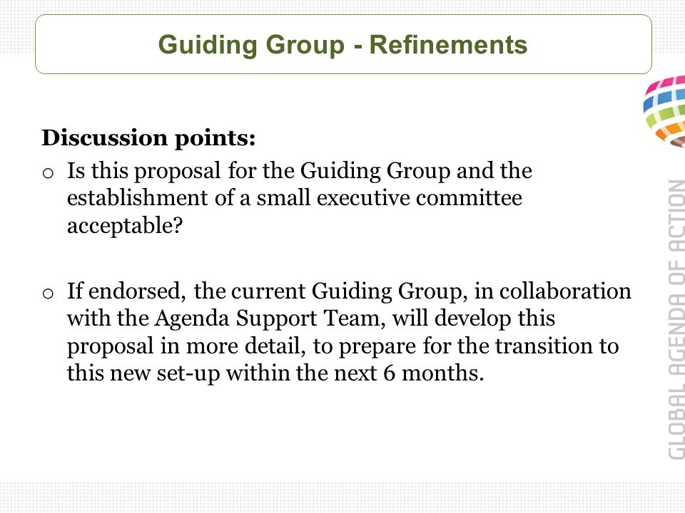 Guiding Group - Refinements Discussion points: o Is this proposal for the Guiding Group and the establishment of a small executive committee acceptable.