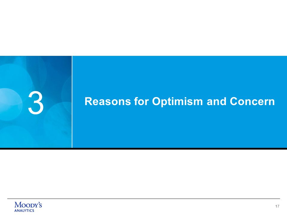 17 Reasons for Optimism and Concern 3