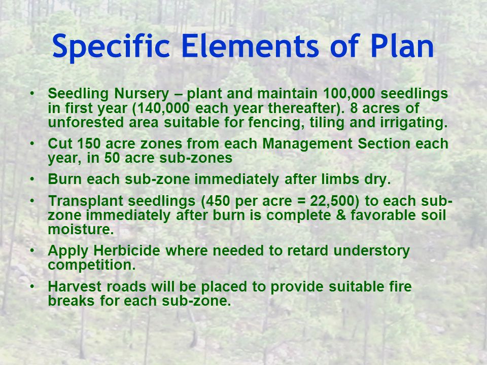 Specific Elements of Plan Seedling Nursery – plant and maintain 100,000 seedlings in first year (140,000 each year thereafter).