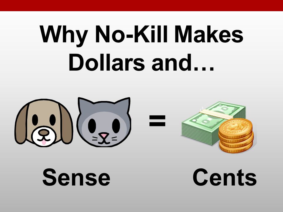Why No-Kill Makes Dollars and… = SenseCents
