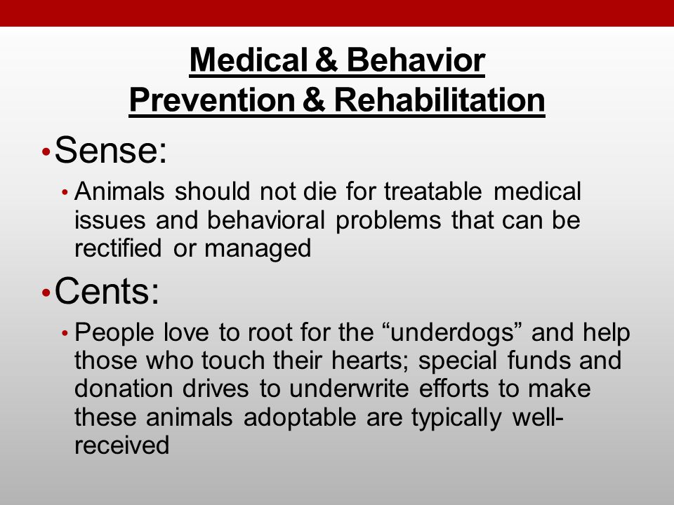 Medical & Behavior Prevention & Rehabilitation Sense: Animals should not die for treatable medical issues and behavioral problems that can be rectified or managed Cents: People love to root for the underdogs and help those who touch their hearts; special funds and donation drives to underwrite efforts to make these animals adoptable are typically well- received