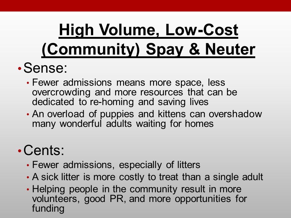 Sense: Fewer admissions means more space, less overcrowding and more resources that can be dedicated to re-homing and saving lives An overload of puppies and kittens can overshadow many wonderful adults waiting for homes Cents: Fewer admissions, especially of litters A sick litter is more costly to treat than a single adult Helping people in the community result in more volunteers, good PR, and more opportunities for funding High Volume, Low-Cost (Community) Spay & Neuter