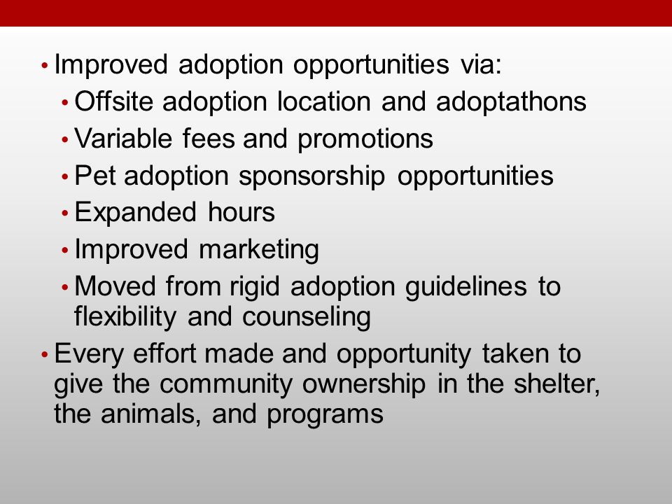 Improved adoption opportunities via: Offsite adoption location and adoptathons Variable fees and promotions Pet adoption sponsorship opportunities Expanded hours Improved marketing Moved from rigid adoption guidelines to flexibility and counseling Every effort made and opportunity taken to give the community ownership in the shelter, the animals, and programs