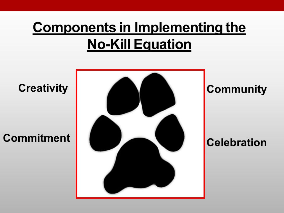 Components in Implementing the No-Kill Equation Celebration Community Creativity Commitment