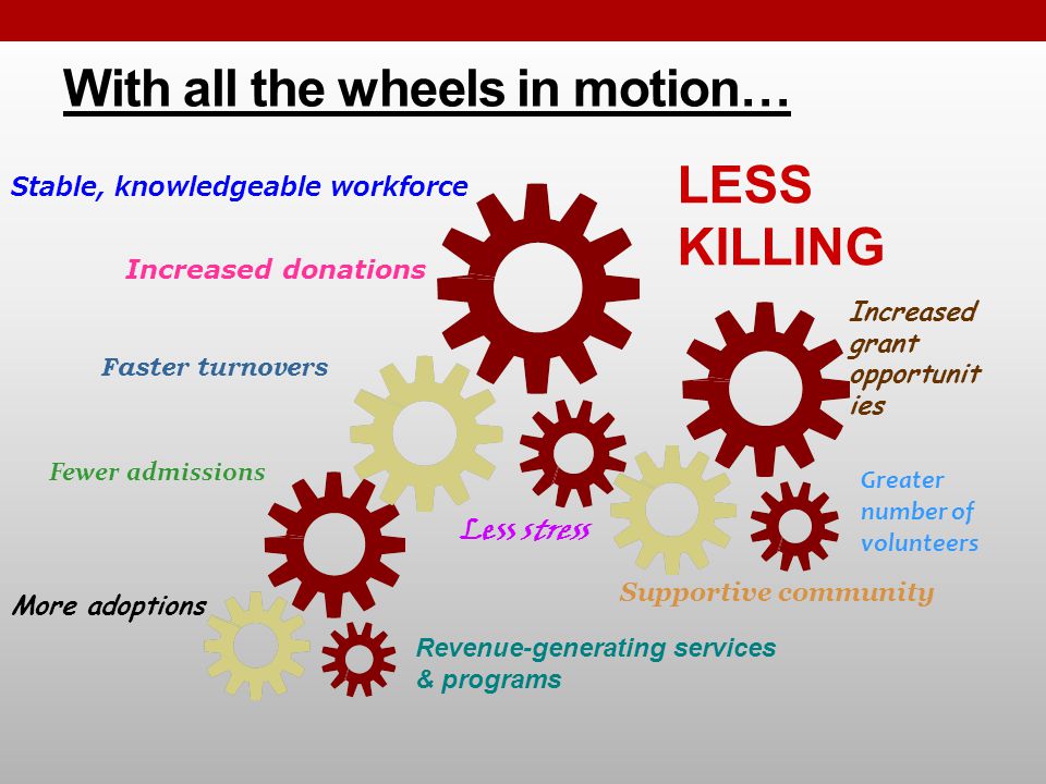 With all the wheels in motion… Increased grant opportunit ies Revenue-generating services & programs Stable, knowledgeable workforce Less stress Faster turnovers More adoptions Supportive community Increased donations Greater number of volunteers Fewer admissions LESS KILLING