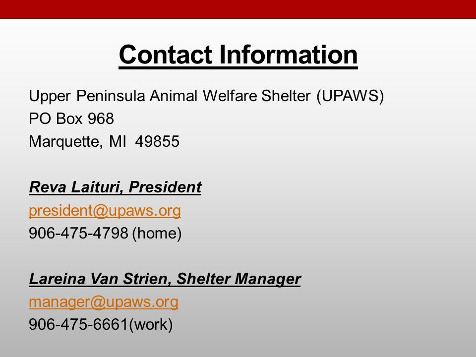 Contact Information Upper Peninsula Animal Welfare Shelter (UPAWS) PO Box 968 Marquette, MI Reva Laituri, President (home) Lareina Van Strien, Shelter Manager (work)