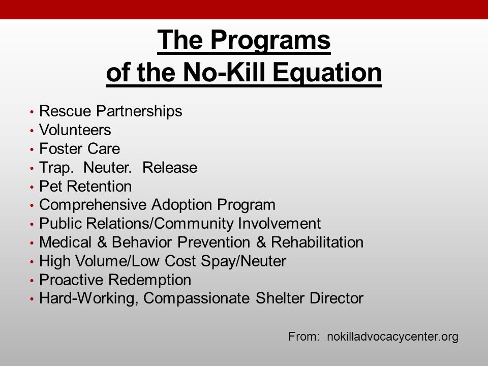 The Programs of the No-Kill Equation Rescue Partnerships Volunteers Foster Care Trap.