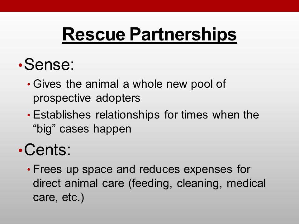 Rescue Partnerships Sense: Gives the animal a whole new pool of prospective adopters Establishes relationships for times when the big cases happen Cents: Frees up space and reduces expenses for direct animal care (feeding, cleaning, medical care, etc.)