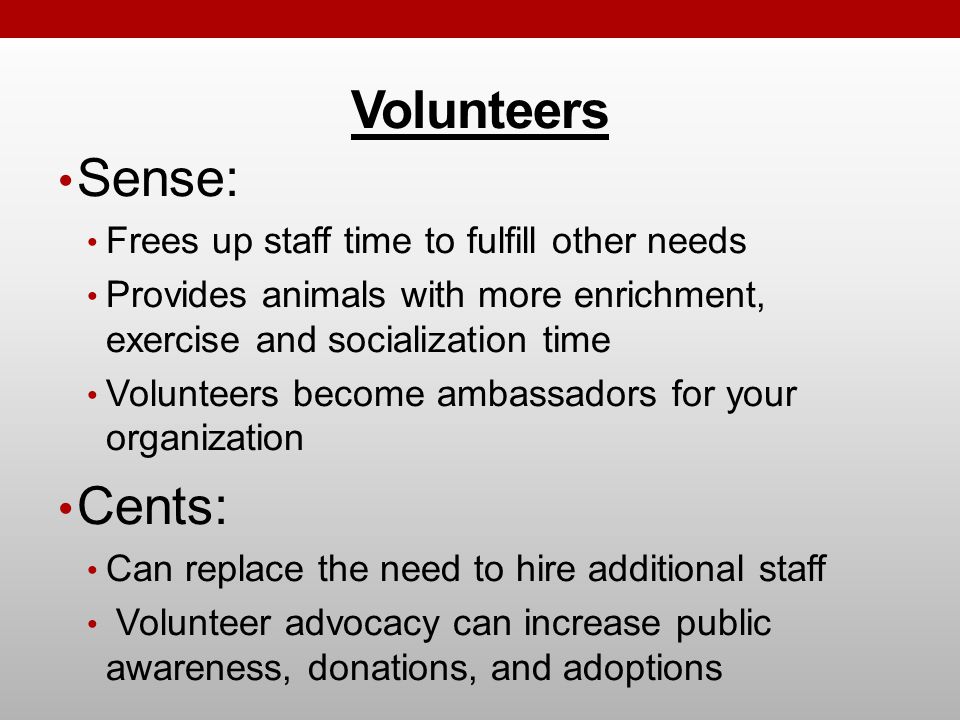 Volunteers Sense: Frees up staff time to fulfill other needs Provides animals with more enrichment, exercise and socialization time Volunteers become ambassadors for your organization Cents: Can replace the need to hire additional staff Volunteer advocacy can increase public awareness, donations, and adoptions