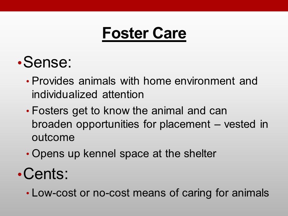 Foster Care Sense: Provides animals with home environment and individualized attention Fosters get to know the animal and can broaden opportunities for placement – vested in outcome Opens up kennel space at the shelter Cents: Low-cost or no-cost means of caring for animals