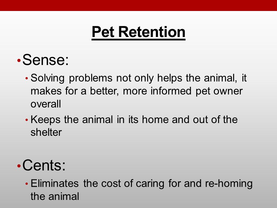 Pet Retention Sense: Solving problems not only helps the animal, it makes for a better, more informed pet owner overall Keeps the animal in its home and out of the shelter Cents: Eliminates the cost of caring for and re-homing the animal
