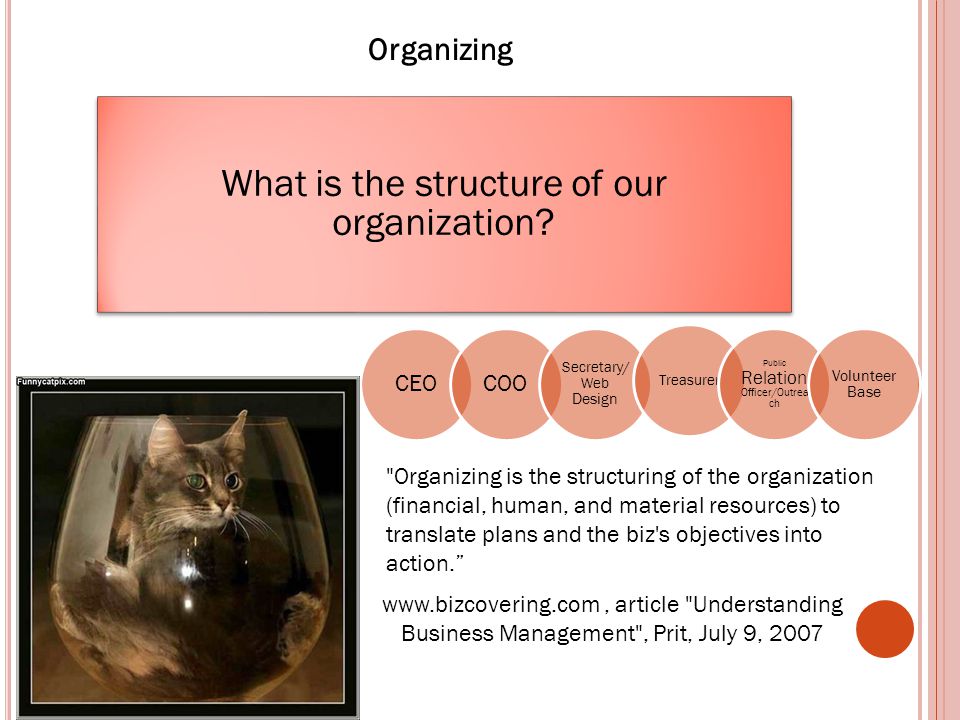 Organizing What is the structure of our organization.