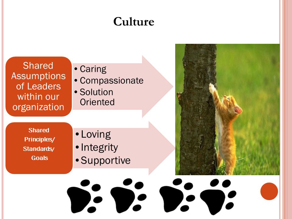 Culture Caring Compassionate Solution Oriented Shared Assumptions of Leaders within our organization Loving Integrity Supportive Shared Principles/ Standards / Goals