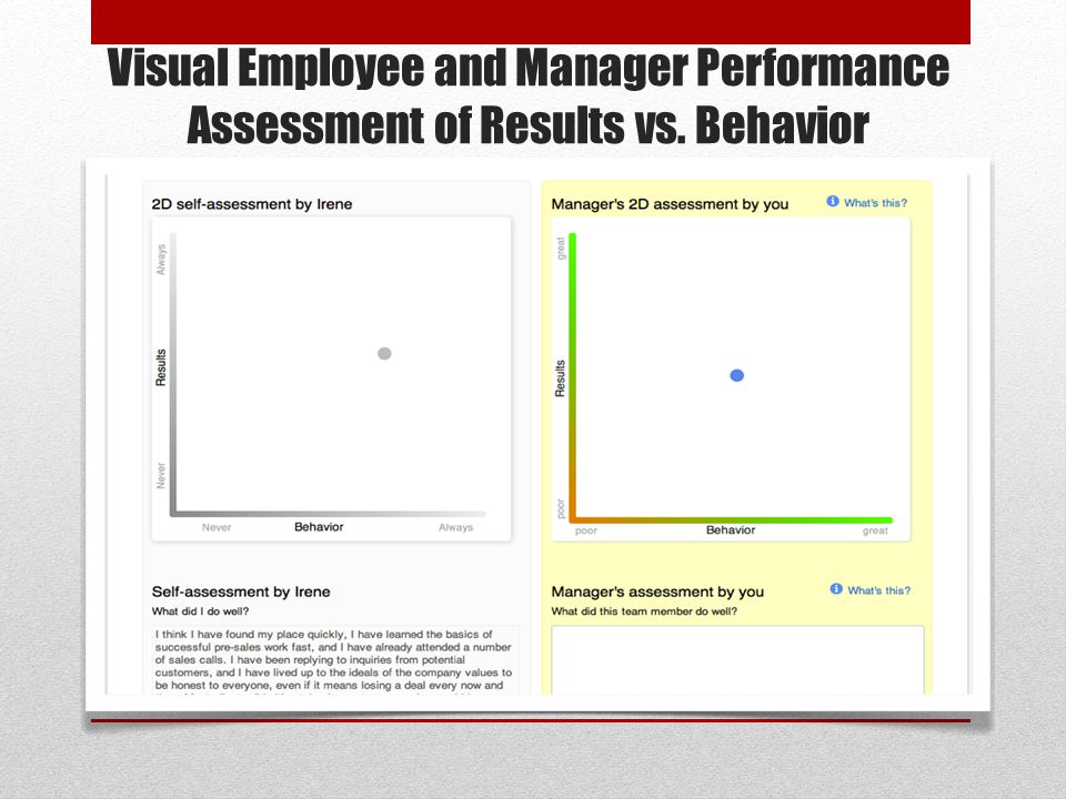 Visual Employee and Manager Performance Assessment of Results vs. Behavior