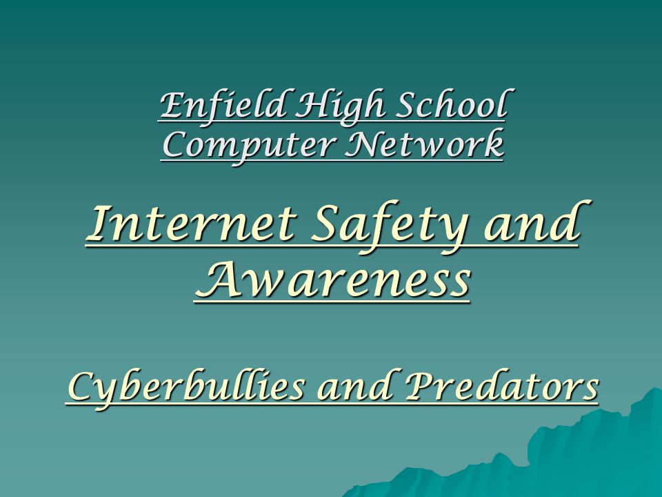 Internet Safety and Awareness Cyberbullies and Predators Enfield High School Computer Network