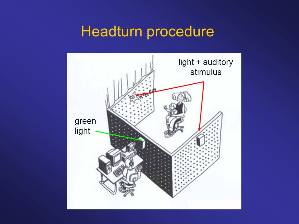 Headturn procedure green light light + auditory stimulus