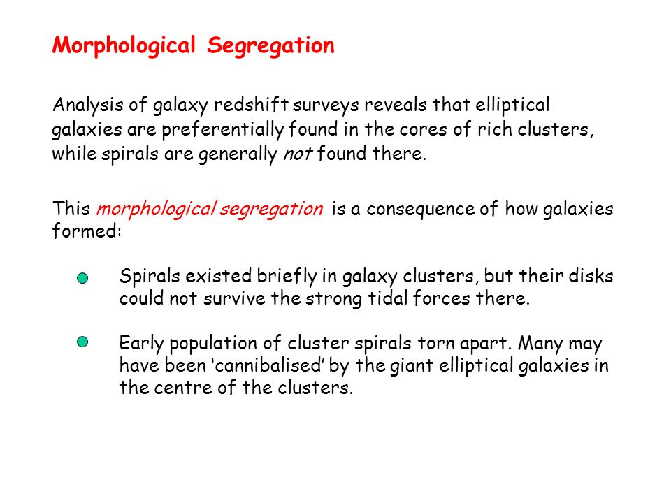 Morphological Segregation Analysis of galaxy redshift surveys reveals that elliptical galaxies are preferentially found in the cores of rich clusters, while spirals are generally not found there.