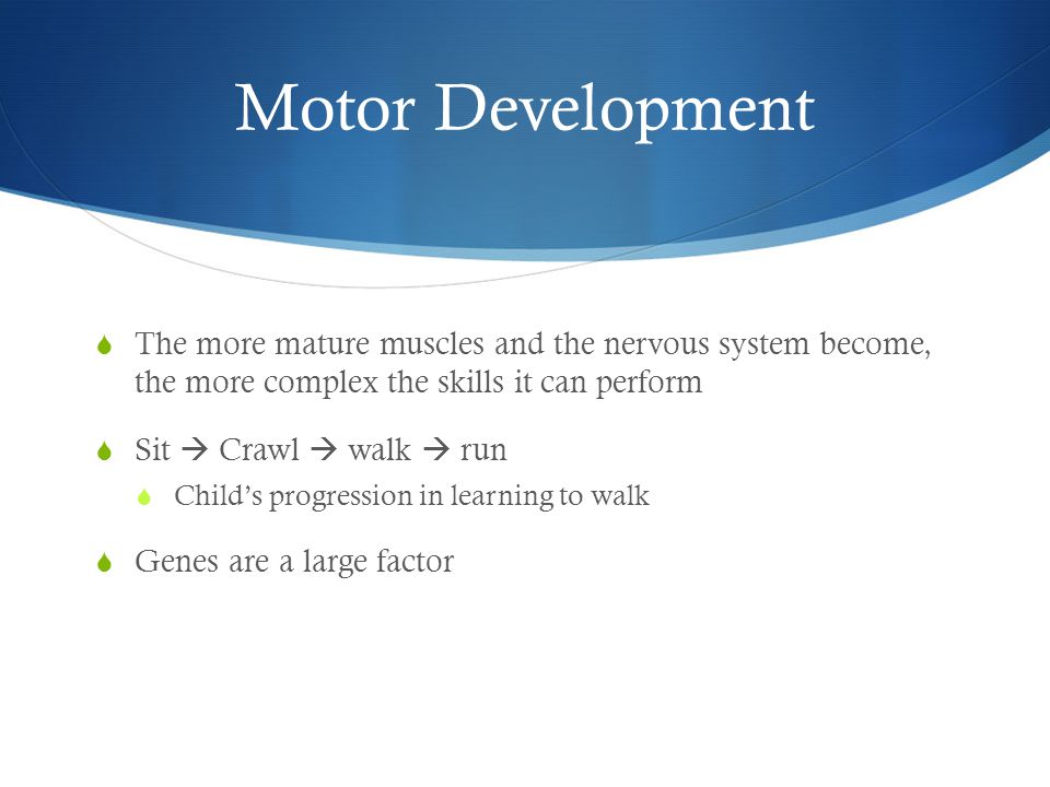 Motor Development  The more mature muscles and the nervous system become, the more complex the skills it can perform  Sit  Crawl  walk  run  Child’s progression in learning to walk  Genes are a large factor