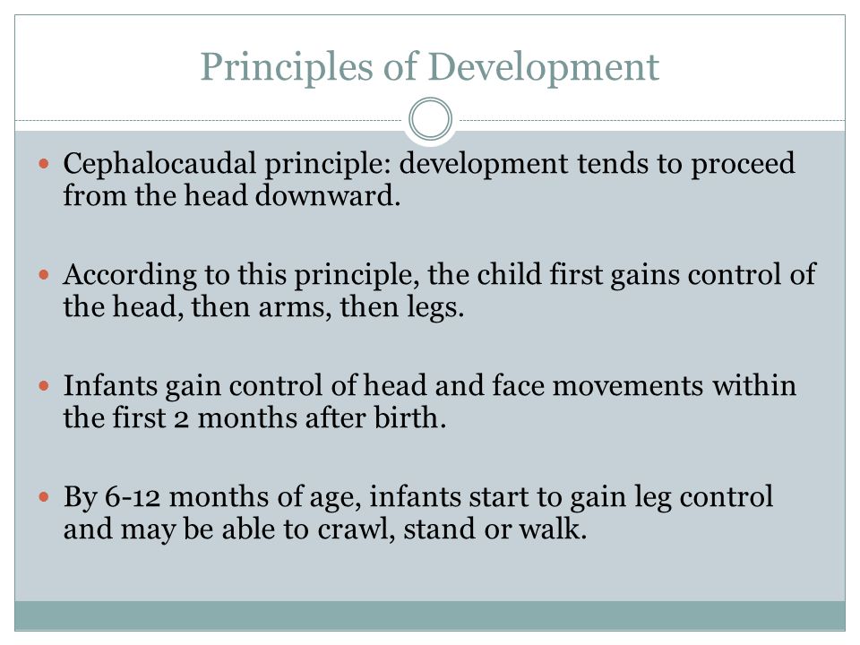 Principles of Development Cephalocaudal principle: development tends to proceed from the head downward.
