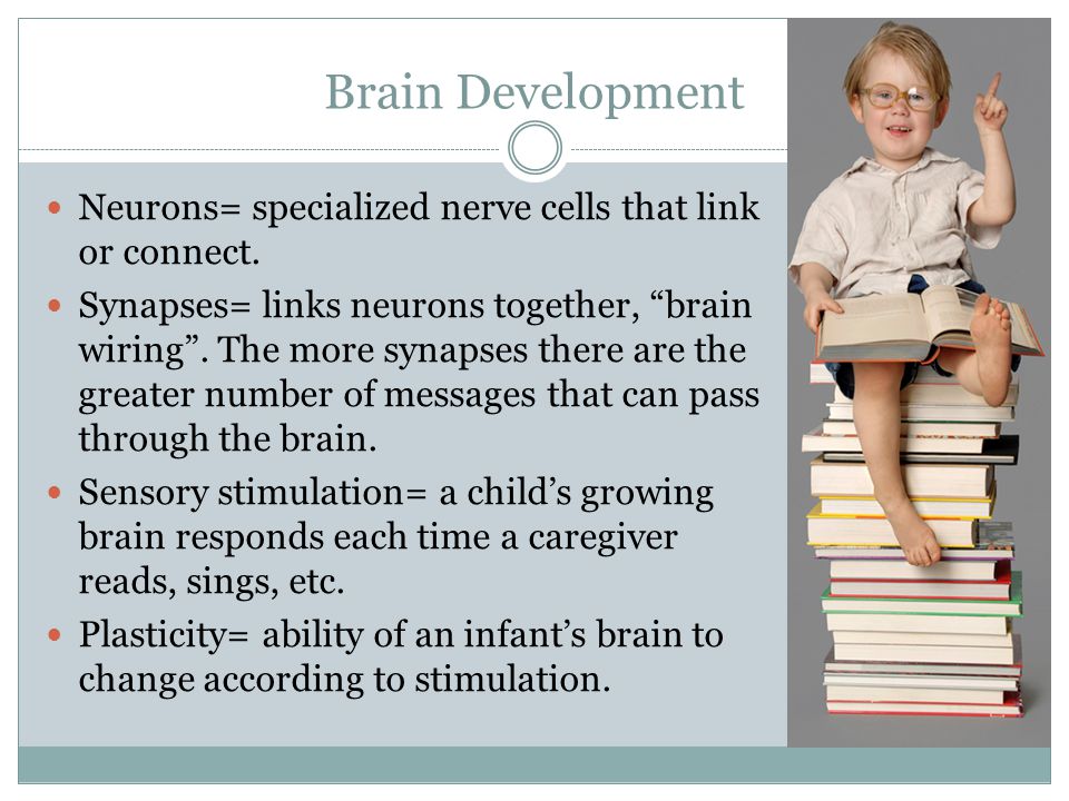 Brain Development Neurons= specialized nerve cells that link or connect.