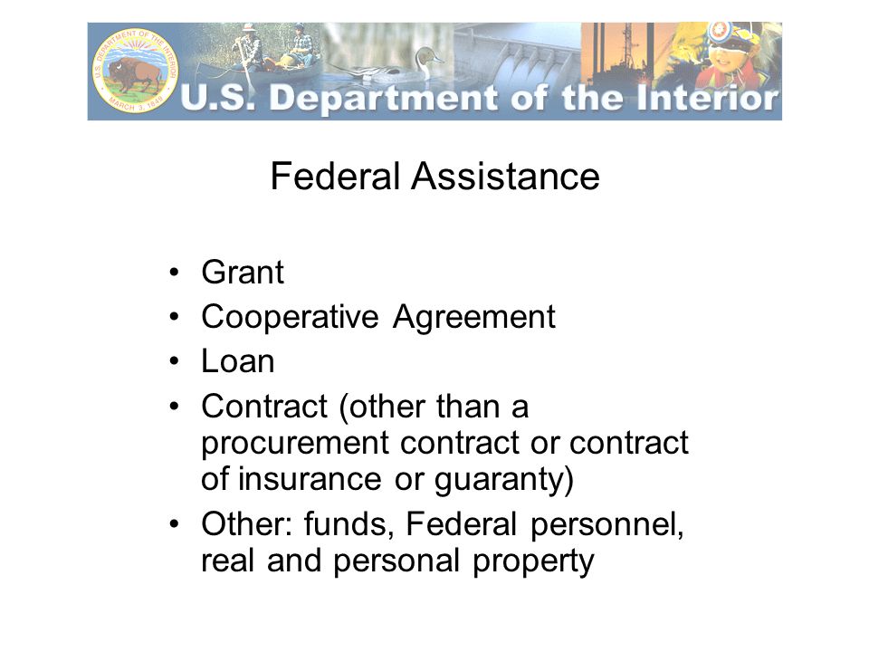 Federal Assistance Grant Cooperative Agreement Loan Contract (other than a procurement contract or contract of insurance or guaranty) Other: funds, Federal personnel, real and personal property