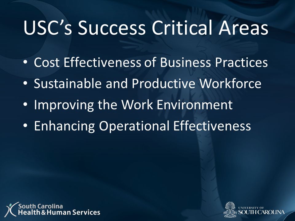 USC’s Success Critical Areas Cost Effectiveness of Business Practices Sustainable and Productive Workforce Improving the Work Environment Enhancing Operational Effectiveness