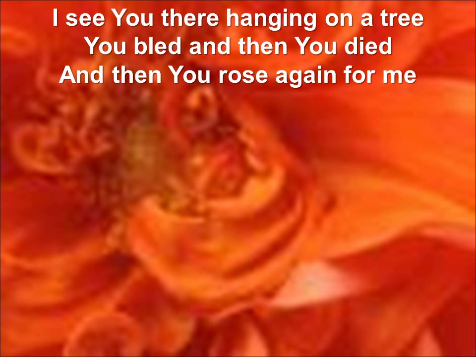 I see You there hanging on a tree You bled and then You died And then You rose again for me