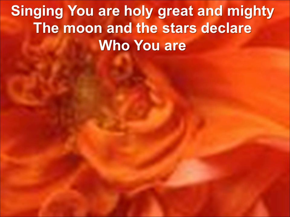 Singing You are holy great and mighty The moon and the stars declare Who You are