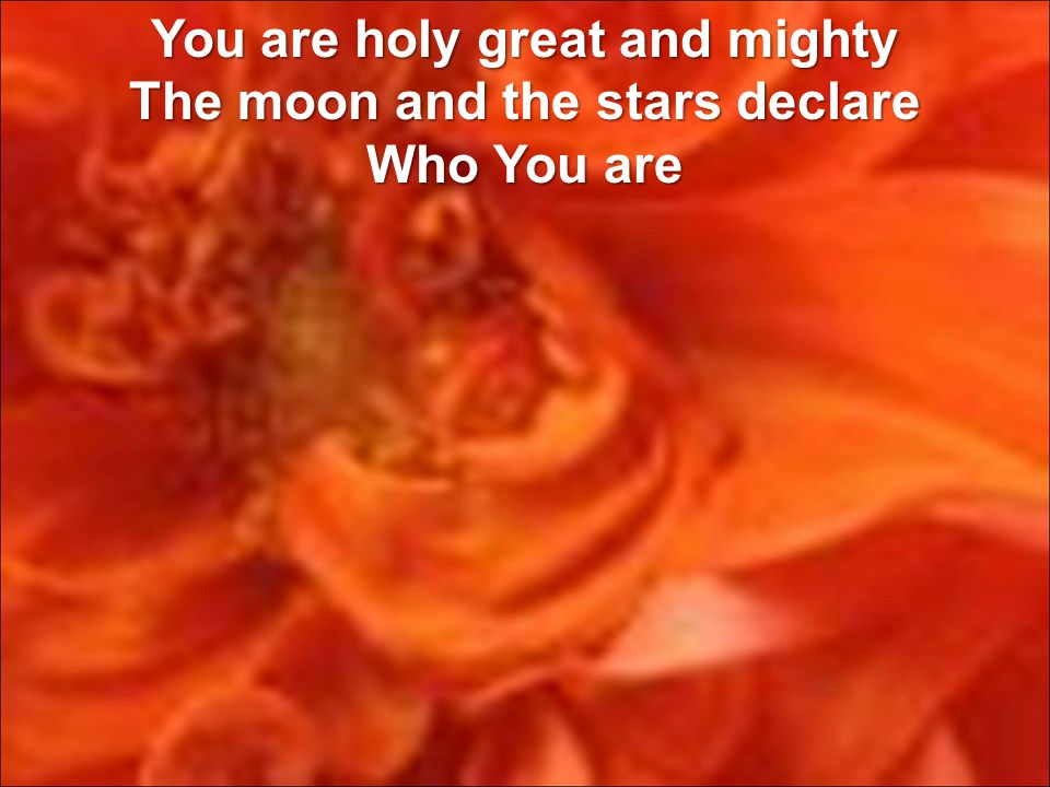 You are holy great and mighty The moon and the stars declare Who You are